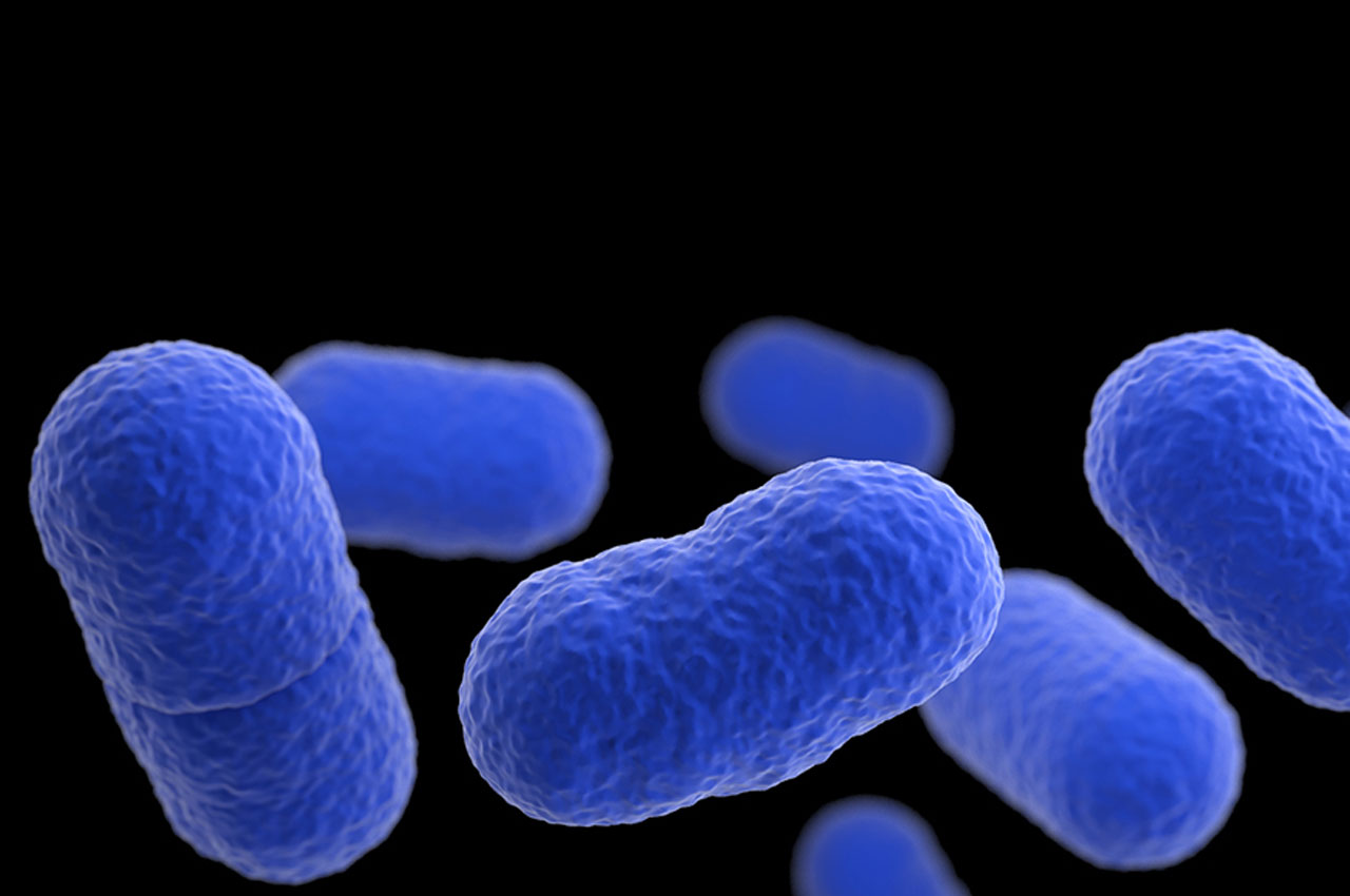 Listeria food poisoning