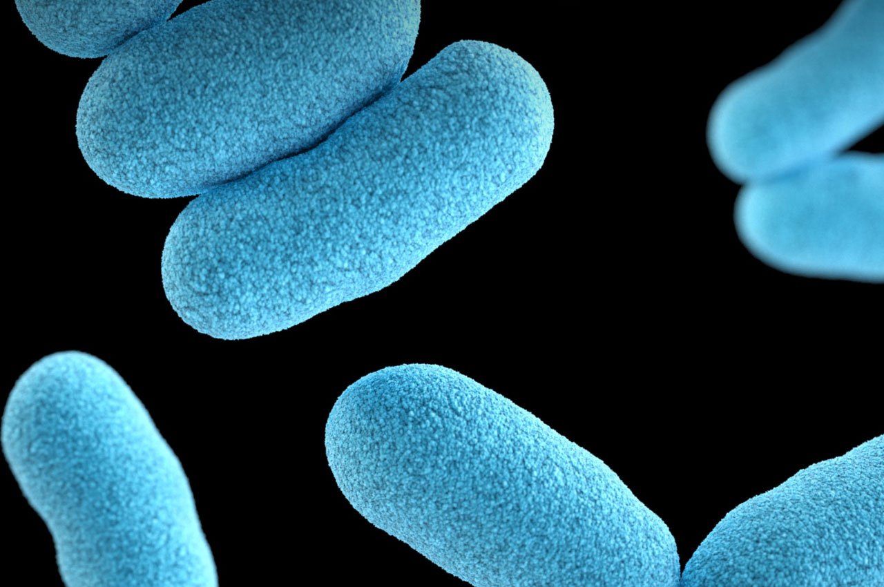 food poisoning fitness to work